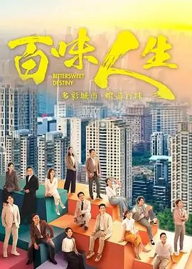 成何体统电视剧高清海报